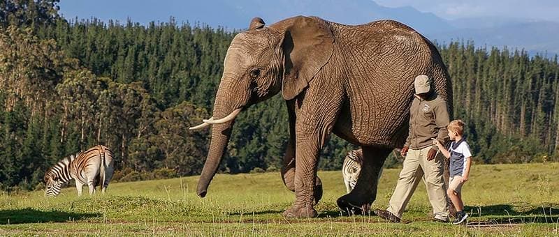 Knysna attractions near Beach Villa Wilderness