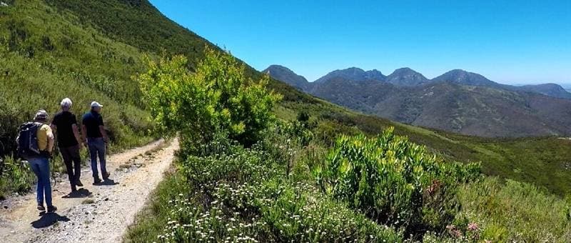 Sedgefield attractions near Beach Villa Wilderness