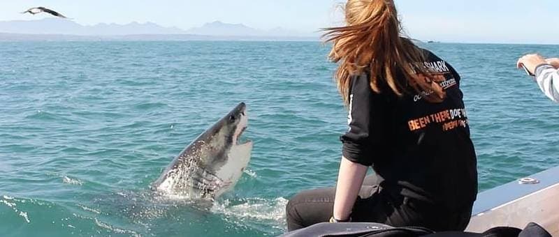 Mossel Bay attractions near Beach Villa Wilderness